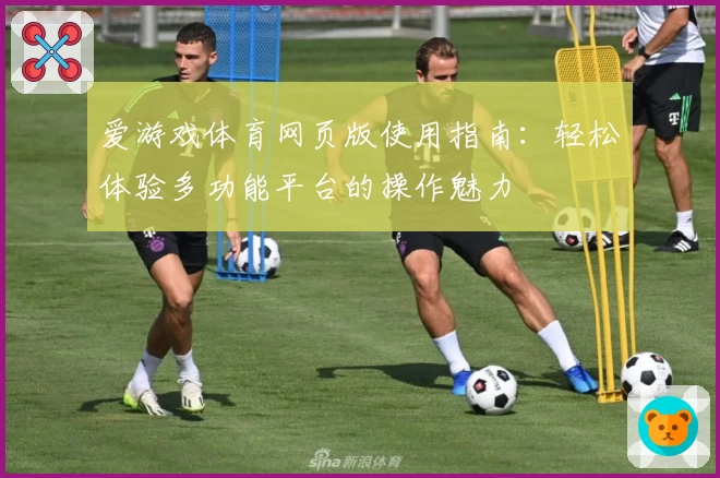 爱游戏体育网页版使用指南：轻松体验多功能平台的操作魅力